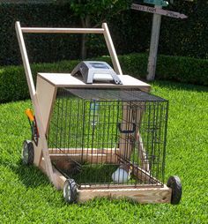 Guinea Pig Outdoor Cage Ideas, Outdoor Guinea Pig Habitat, Outdoor Guinea Pig Enclosure, Guinea Pig Cage Ideas Outdoor, Guinea Pig Cage Ideas, Diy Guinea Pig Cage, Guinea Pig Cages, Guinea Pig Diy, Guinea Pig Hutch