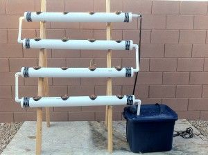 How I Built My Hydroponics System Vertical Farm, Indoor Vegetables, Aquaponics Diy, Hydroponic Farming, Hydroponics Diy, Starting A Vegetable Garden, Hydroponic Growing, Indoor Vegetable Gardening, Aquaponics System