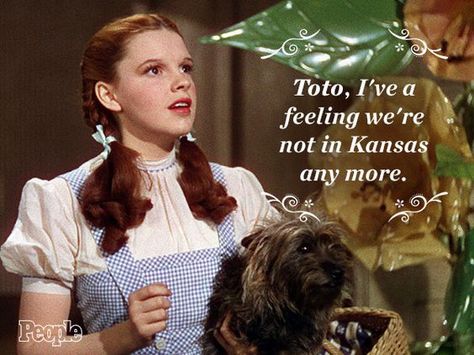 Wizard Of Oz Judy Garland Wizard Of Oz, Dorothy Cosplay, Home Movie Quotes, Kentucky Hiking, Dorothy And Toto, Not In Kansas Anymore, Wizard Of Oz Quotes, August Rush, Wizard Of Oz Movie