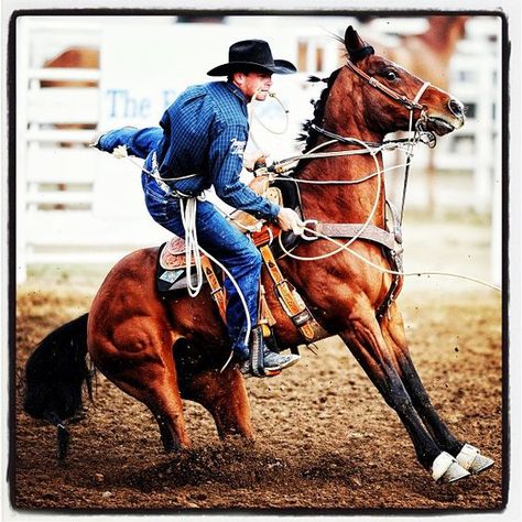 Rodeo Photography, Horse Training Exercises, Team Roper, Calf Roping, Elephant Photography, Cowboy Life, Rodeo Boots, Rodeo Events, Rodeo Cowboys