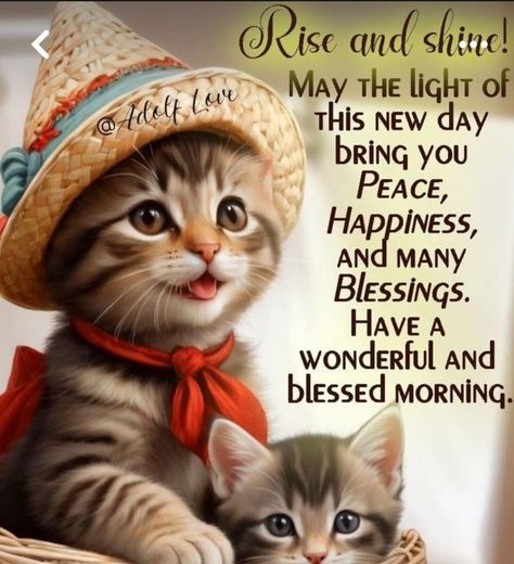 Autumn Cats, Birthday Msgs, Thursday Blessings, Good Morning Cat, Good Night Prayer Quotes, Happy Thursday Quotes, Beautiful Good Night Quotes, Evening Quotes, Funny Day Quotes