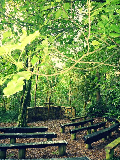 Beautiful outdoor chapel at Arahina, Marton. Outdoor Worship Space, Outdoor Prayer Space, Beach Chapel, Columbarium Design, Forest Chapel, Catholic Garden, School Chapel, Outdoor Chapel, Private Chapel