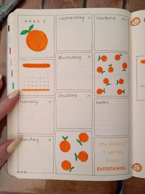 Week 5 | July | Bullet journal | Orange July Bullet Journal Ideas, July Bullet Journal, Orange Theme, Journal 2024, Journal Lettering, Bullet Journal Ideas, Bujo Ideas, Lettering Ideas, Bullet Journal Themes