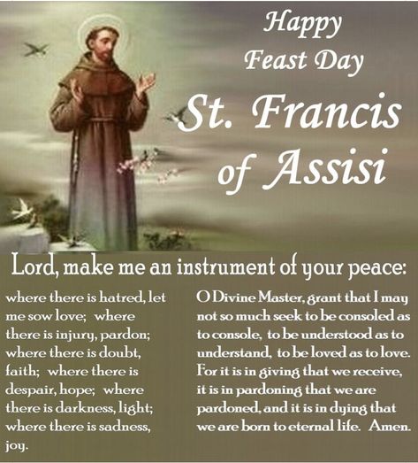 Happy Feast Day, Happy Feast, St Francis Of Assisi, Android Wallpaper Flowers, Francis Of Assisi, Catholic Prayers, St Francis, Let It Be, Quick Saves