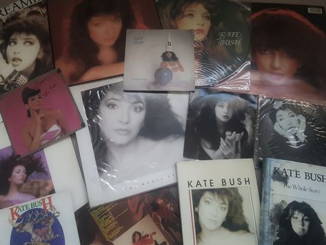 kate bush collection 80s Music Aesthetic, Kate Bush Aesthetic, Cds Aesthetic, Alternative Indie, Kate Bush, Music Cds, 80s Music, Vintage Records, Music Aesthetic