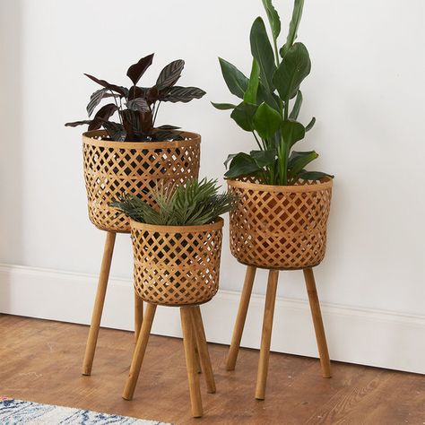 Check out Woven Standing Baskets - Set of 3 from Shades of Light Wicker Accessories, نباتات منزلية, Farmhouse Kitchen Tables, Plant Decor Indoor, Inspire Me Home Decor, Deco Boheme, House Plants Decor, Décor Boho, Wooden Planters