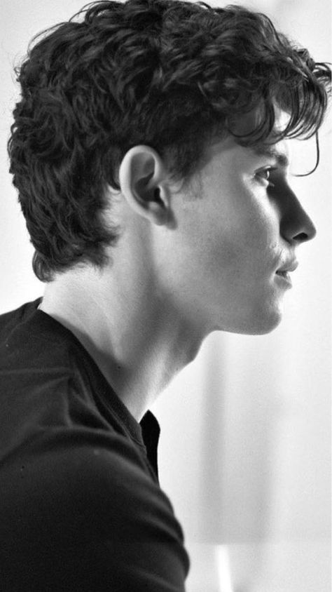 Rafael Miller, Shawn Mendes Imagines, Face Profile, Shawn Mendes Wallpaper, Canadian Boys, Side Profile, Shawn Mendes, Curly Hair, Beautiful People