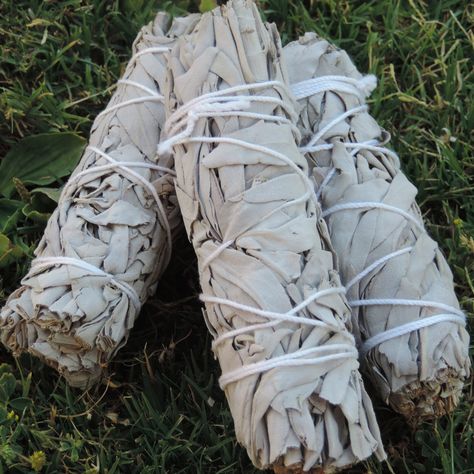 Cleansing Sage Smudging, Cleansing Prayer Sage, White Sage Incense Benefits, Sage Incense, White Sage Smudge, Hippie Style Clothing, Improve Sleep, Spiritual Crystals, White Sage