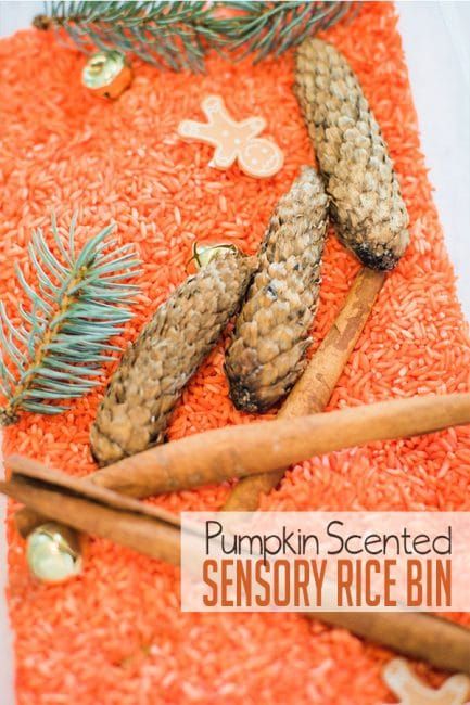 Pumpkin Sensory Bin, Pumpkin Sensory, Teaching Kids Letters, Sensory Rice, Fall Sensory Bin, Fall Themes, Homemade Paint, Family Day Care, Easy Toddler Activities