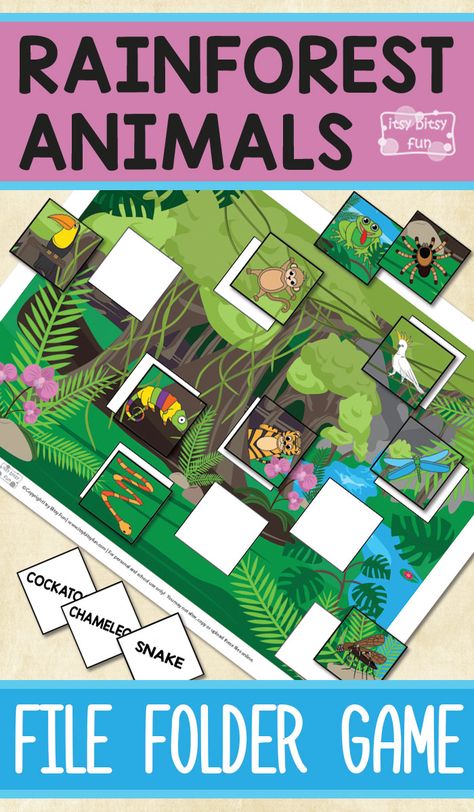 Free Printable Rainforest Animals File Folder Game for Kids Rainforest Animals Printables, Rainforest Games, Rainforest Worksheets, Preschool Rainforest, Rainforest Preschool, Rainforest Crafts, Rainforest Activities, Rainforest Project, Rainforest Theme