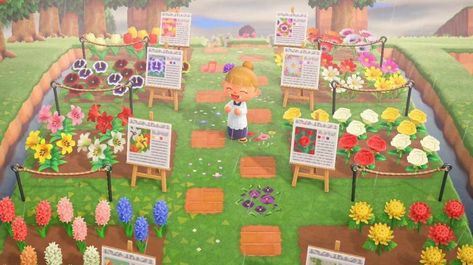 Animal Crossing Town Tune, Motif Acnl, Wild Animals Photos, Ac Ideas, Animal Crossing Guide, Acnh Inspiration, Acnh Island Ideas, Animal Crossing Island Ideas, Animal Crossing Wild World