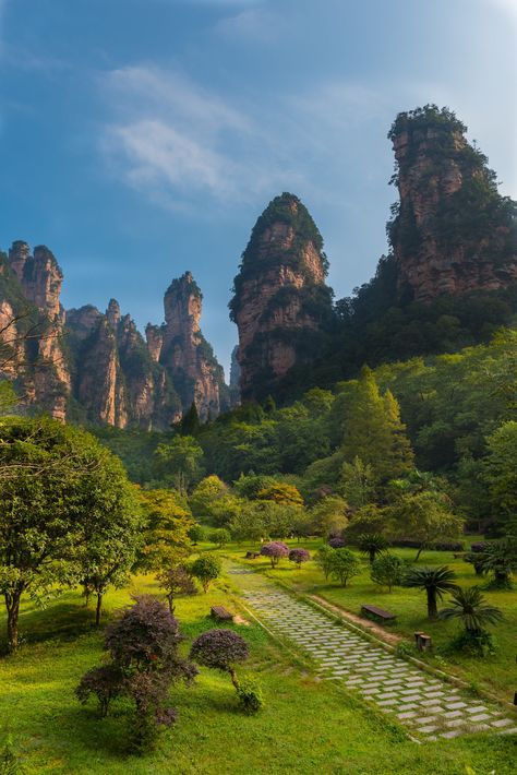 Floating Mountains, Zhangjiajie China, Map Route, Chinese Mountains, Zhangjiajie, Planning Business, Atlas Obscura, Places In The World, Forest Park