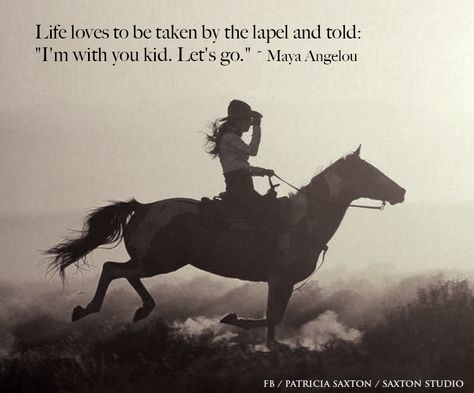 horse photos with quotes | Happy Birthday Maya Angelou | saxton studio blog Happy Birthday Horse Lover, Birthday Wishes Words, Happy Birthday Cowgirl, Quotes Birthday Wishes, Birthday Horse, Cowgirl Quote, Words Wisdom, Western Stuff, Truths Feelings