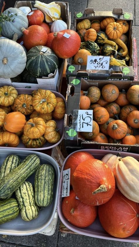 Everything Fall, Aesthetic 2023, Comfy Reading, Fall Comfort Food, Fall Mood Board, Fall Semester, Get In The Mood, Aesthetic Halloween, Season Of The Witch