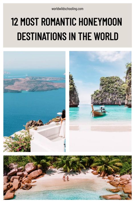 Explore the most charming romantic honeymoon destinations across the globe. Affordable Honeymoon Destinations, Affordable Honeymoon, Top Honeymoon Destinations, Nature Destinations, Romantic Honeymoon Destinations, Best Honeymoon Destinations, Destin Hotels, Beach Honeymoon, Romantic Travel Destinations