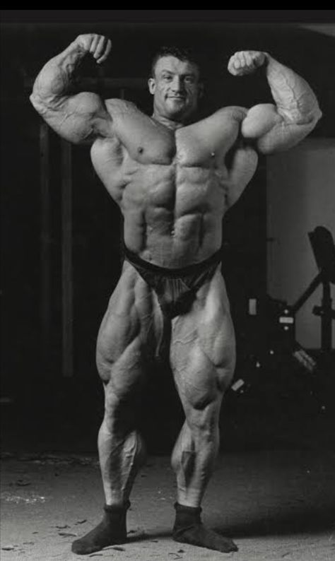 Dorian Yates Workout, Arnold Schwarzenegger Muscle, Arnold Schwarzenegger Bodybuilding, Dorian Yates, Schwarzenegger Bodybuilding, Bodybuilding Pictures, Workout Splits, Vitamins And Supplements, Mr Olympia