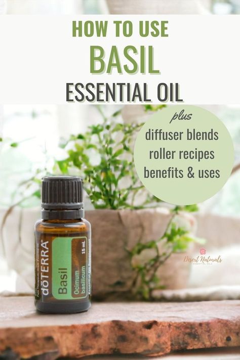 Learn how to use Basil essential oil, plus the Benefits and over 30 Uses, diffuser blends, roller ball recipes, cooking recipes and more.  Find out the emotional and spiritual benefits of basil essential oil in addition to how it can benefits your physical body, hair and skin.  Basil is an underrated herbaceous essential oil that has many powerful benefits.  Click for the full essential oil spotlight. Roller Ball Recipes, Uses For Basil, Benefits Of Basil, Doterra Diffuser Blends, Basil Essential Oil, Ball Recipes, Rosemary Oil For Hair, Basil Oil, Basil Recipes