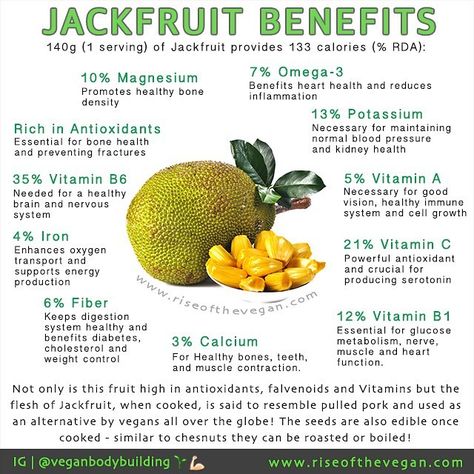 Have you tried jackfruit yet? Jack fruit is the largest fruit in the world weighing from 3 to 30 kg and has oblong or round shape measuring 10cm to 60cm in length 25 to 75cm in diameter! Each tree bears up to 250 jackfruits. It is a rich source of energy dietary fiber minerals and vitamins and free from saturated fats or cholesterol making it a healthy summer treat .  Many vegans around the world choose to harvest and cook the young green jackfruit as an alternative to pulled pork .  Health ... Jackfruit Benefits, Sheet Pan Roasted Vegetables, Pan Roasted Vegetables, Calendula Benefits, Fruit Health Benefits, Magnesium Benefits, Coconut Health Benefits, Benefits Of Coconut Oil, Kidney Health