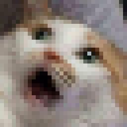 Cat
Pixel Art
Screaming Cat
32x32 Pixel Art Realistic Pixel Art, Detailed Pixel Art 32x32, Dog Pixel Art 32x32, Cat Pixel Art 32x32, Cat Pixel Grid Crochet, 32x32 Pixel Art Grid, Orange Cat Pixel Art, Pixel Art 32x32 Grid Meme, Dark Embroidery