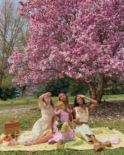 nikki • content creator 🕊 on Instagram: “The photo we’ll all be saving to our Pinterest boards ✨💐👑🕊💛 #princessaesthetic #spring2021 #cherryblossomseason #cottagecoreoutfit…” Cherry Blossom Outfit, Cherry Blossom Pictures, Japan Outfits, Japan Spring, Cottagecore Outfit, Japan Cherry Blossom, Summer Poses, Party Photoshoot, Cherry Blossom Season