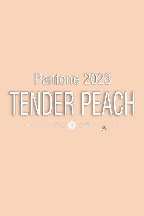 Pantone Tender Peach Spring-Summer 2023 Tender Peach Pantone, Peach Pantone, Pantone Palette, Mood Board Inspiration, Peach Fuzz, Beautiful Color Combinations, Chic Home Decor, Wedding Event Planning, Autumn Cozy