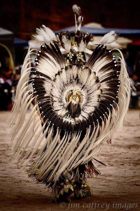 Pow-Wow-Dancer-1 Pow Wow Dancers, Larp Crafts, Native American Dance, Wow Photo, Native American Regalia, Native American Wisdom, Native American Images, Native American Clothing, Totem Poles