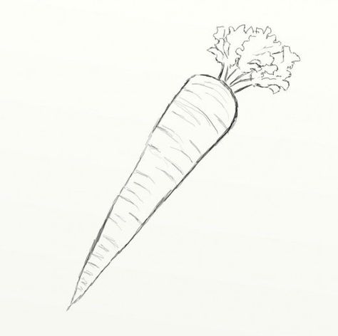 How to Draw a Carrot | FeltMagnet Carrot Drawing Simple, Carrot Drawing Easy, Carrots Drawing, Carrot Sketch, Draw A Carrot, Vegetables Sketch, Owl Drawing Simple, Chrysanthemum Drawing, Carrot Drawing