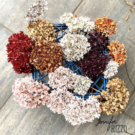 Spray Paint Dried Flowers - Jennifer Rizzo Hydrangea Color Change, Spray Paint Flowers, Floral Spray Paint, Green Spray Paint, Seeds Color, Hydrangea Painting, Diy Spray Paint, Fresh Farmhouse, Hydrangea Colors