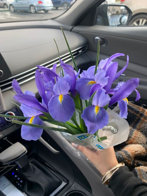 Iris Purple Aesthetic, Purple Iris Flowers Aesthetic, Iris Aesthetic Flower, Iris Flower Aesthetic, Iris Flowers Aesthetic, Purple Iris Flowers, Neet Notes, Iris Bouquet, Lavender Bouquet