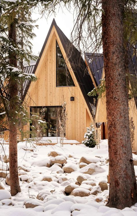 Prefab A Frame, Cabins In Colorado, Skylab Architecture, Malm Fireplace, Prefabricated Cabins, Frame Cabins, Black Metal Roof, Cedar Paneling, Colorado Cabins