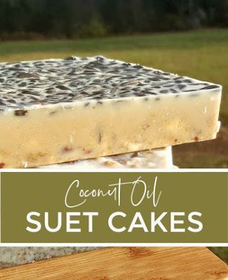 Suet Cakes For Chickens, Sunflower Seed Recipes, Dried Cranberries Recipes, Suet Recipe, Flock Block, Chicken Tips, Bird Suet, Homemade Coconut Oil, Suet Cakes