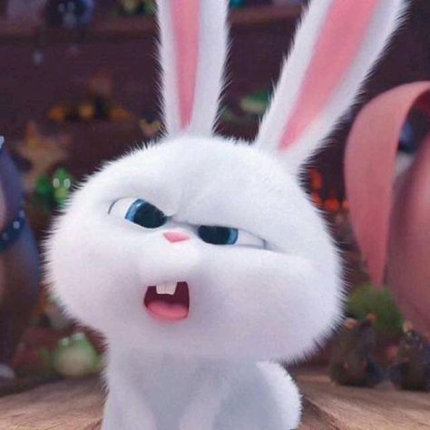 Snowball Rabbit, Whats Wallpaper, Cute Disney Characters, Cute Bunny Cartoon, Bunny Wallpaper, Secret Life Of Pets, Cute Cartoon Images, Wallpaper Animes, Cartoon Wallpaper Iphone