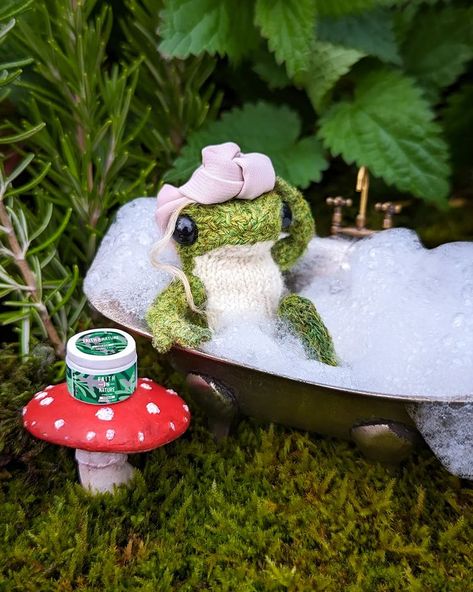 India Rose Crawford | A gentle morning with Frog and Toad 🐸🐸☀️ I hope you enjoy this full length version! 🥐 #frogandtoad #knittedfrog #frog | Instagram Frog Pumpkin, Halloween Knitting, Blackberry Picking, Frog Doll, Light Cocktails, India Rose, Crochet Frog, Growing Strawberries, Wildflower Bouquet