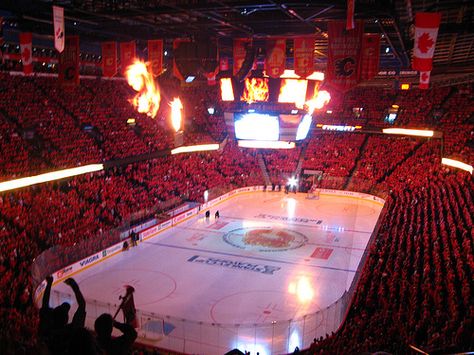 Calgary Flames! Calgary Flames Aesthetic, Calgary Flames Hockey, Ice Hockey Teams, Calgary Canada, Hockey Games, Calgary Flames, Hockey Team, Hockey Player, Oklahoma City Thunder