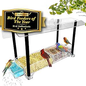 Window Bird Feeder, What Is A Bird, Water Tray, Column Design, Chickadees, Wild Bird Food, Kinds Of Birds, Finches, Feeding Time