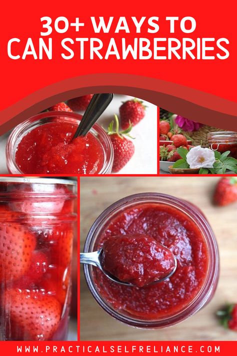 Strawberries are one of the first fruits of the summer, and a great excuse to dust off your canning equipment and get jammin’ with over 30 creative canning and preserving recipes for strawberries! Strawberry Recipes For Canning, Recipes For Strawberries, Can Strawberries, Strawberry Recipes Canning, Fruit In Jars, Strawberry Canning, Canning Strawberries, Canning Recipes For Beginners, Creative Canning