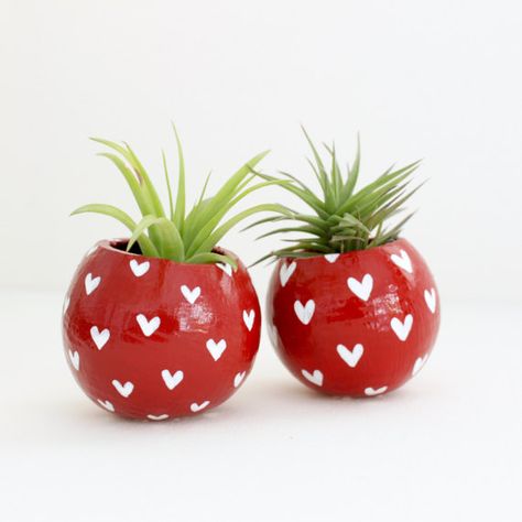 Brighten someones day with this modern planter and air plant set. An easy way to add color and plants to your space. Makes a perfect gift for the home, office or dorm. This hand-painted red & white heart planter holds a low maintenance Tillandsia air plant or a no maintenance faux Minimalist Homes, Coconut Shell Crafts, Painting Simple, Flower Pot Art, Pot Painting, Plant Pot Diy, Modern Planter, Flower Pot Design, Painted Pots Diy