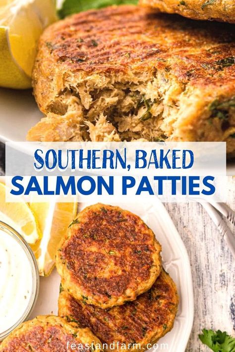 Low Carb Salmon Patties, Baked Salmon Patties, Best Salmon Patties, Salmon Croquettes Recipe, Canned Salmon Patties, Oven Salmon, Oven Roasted Salmon, Salmon Cakes Recipe, Canned Salmon Recipes