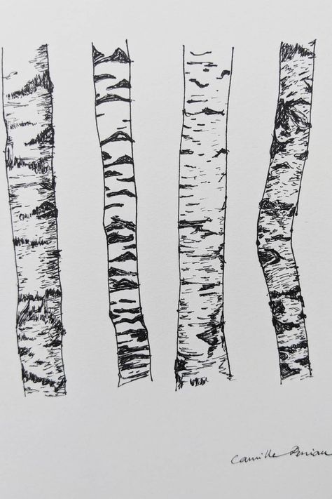 Different birch tree barks, exploring textures and designs for art inspiration for Project Roots. Drawing Bark Texture, Bark Drawing Texture, Birch Tree Roots, Birch Trees Drawing, How To Draw A Birch Tree, Tree Bark Sketch, Birch Tree Sketch, Tree Texture Drawing, Tree Bark Drawing