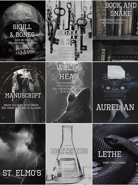 None of these pictures are mine (I found them on Pinterest) and the houses were created by Leigh Bardugo Ninth House Characters, Il Bastone Ninth House, Ninth House Leigh Bardugo Aesthetic, Galaxy Stern Ninth House, Ninth House Fanart Alex And Darlington, The Ninth House Fanart, Alex And Darlington Ninth House, Alex Stern And Darlington, Hell Bent Fanart