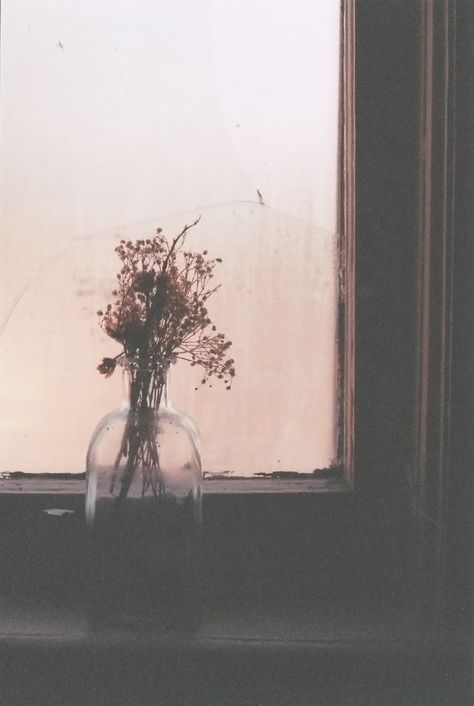 / Wow Photo, Crown The Empire, Jolie Photo, Window Sill, Picture Perfect, Flower Power, Photography Inspiration, Canon, Art Photography