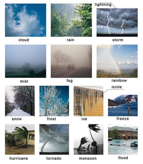 Learning about different types of weather English lesson Weather In English, Geography Vocabulary, Weather Vocabulary, Visual Dictionary, English Vocab, French Vocabulary, English Language Teaching, English Activities, English Dictionaries