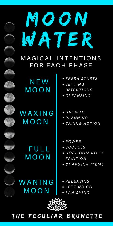 This is the ULTIMATE GUIDE on MOON WATER! I’ll be talking about what Moon Water is and the simple way to make it. Then I’ll get a little more in depth by answering some questions that I get asked frequently! Moon Water is considered to be very magical and purifying. It’s similar to Holy Water in Christianity and is frequently used for cleansing and rituals.Moon Water is any water that has absorbed the energy of the Moon during ANY phase. #thepeculiarbrunette #diymoonwaterspell Make Moon Water, Moon Spells, Magia Das Ervas, Moon Water, New Moon Rituals, Wiccan Magic, Grimoire Book, Full Moon Ritual, Wiccan Spell Book