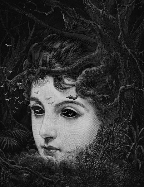 Dan Hillier, “Forest” Art Sinistre, Dan Hillier, Inspiring Artists, Visual Elements, Art Noir, The Other Art Fair, Cellar Door, Art Et Illustration, Creepy Art