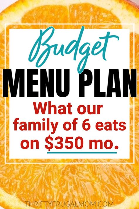 budget menu plan for family of six Homemade Frappe, Month Budget, Cheap Meal Ideas, Cheap Meal Plans, Curry Chicken And Rice, Cream Of Tomato, Cream Of Tomato Soup, Cheap Meal, Frugal Mom