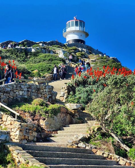 🇿🇦🐧 Roteiro pela Península do Cabo na África do Sul: pinguins e o Cabo da Boa Esperança num passeio bate e volta desde Cape Town 👇 https://www.felipeopequenoviajante.com/2024/08/roteiro-peninsula-do-cabo-cape-town.html Quando comecei a planejar o nosso roteiro em Cape Town e pesquisar sobre o que fazer na Cidade do Cabo, eu tinha apenas 3 certezas: queria fazer um passeio completo pela Península do Cabo, subir na Table Mountain e visitar as vinícolas de Stellenbosch e Franschhoek. Talvez ir ... Africa Do Sul, Table Mountain, Cape Town, Cape, Collage, Pins