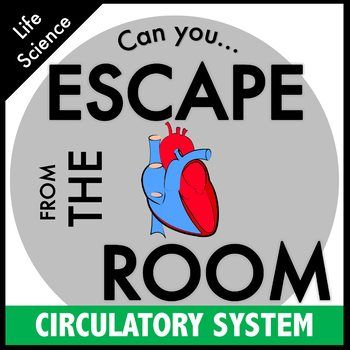 The Circulatory Story Activities, Veins Arteries And Capillaries, Circulatory System Projects, Heart Veins, Science Escape Room, Circulatory System For Kids, Health Science Classroom, Circulatory System Activities, Middle School Health