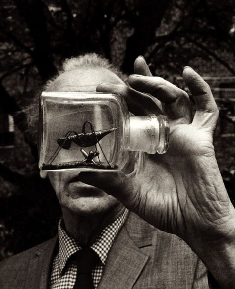 Joseph Cornell by Duane Michals  photo Artist & Art Cornell Box, Joel Peter Witkin, Jack Davison, Duane Michals, Joseph Cornell, Photo Sequence, René Magritte, Marcel Duchamp, Max Ernst