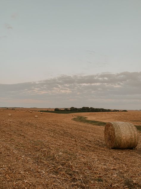 Hay Bale Aesthetic, Corn Fields Aesthetic, Fall Country Aesthetic, Fall Western Wallpaper, Corn Field Aesthetic, Cornfield Aesthetic, Season Corn, Harvest Aesthetic, Farming Aesthetic