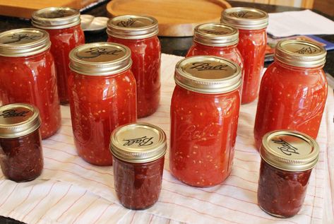 How to Use Your Tomato Harvest: Canning Beefsteak Tomatoes – Homemade Italian Cooking Canned Tomato Recipes, Canning Tomatoes Recipes, Veggie Garden Ideas, Preserving Tomatoes, Tomato Harvest, Indoor Vegetables, Produce Recipes, Preserving Recipes, Pasta Sauce Homemade